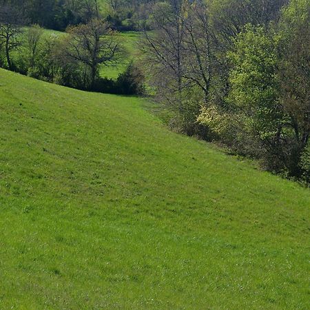 Chambre D'Hote Au Domaine Terre De Chenes Saint-Paul-de-Baise Kültér fotó