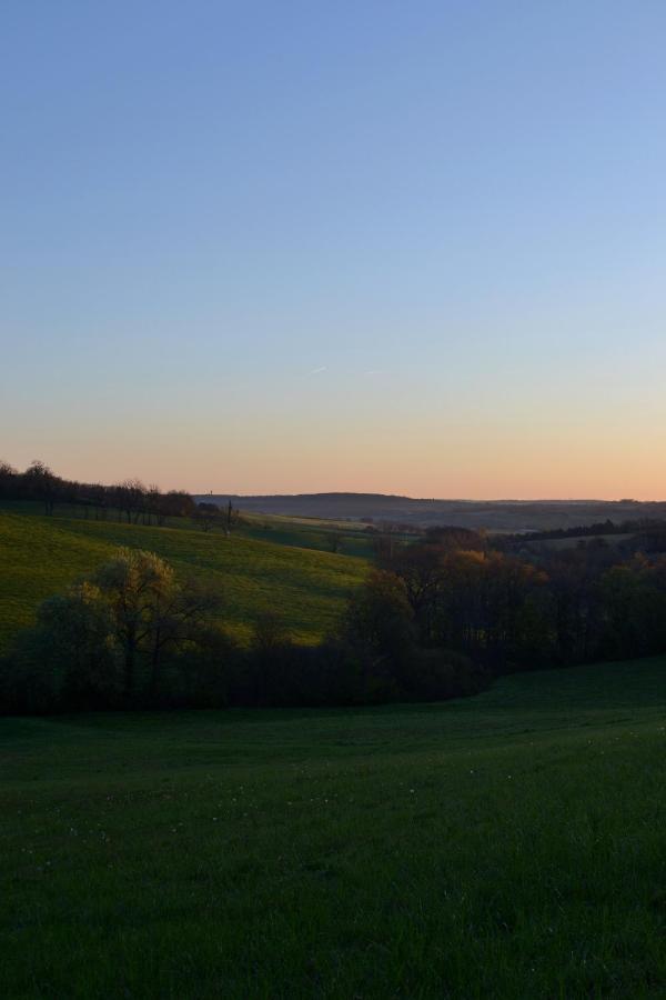 Chambre D'Hote Au Domaine Terre De Chenes Saint-Paul-de-Baise Kültér fotó