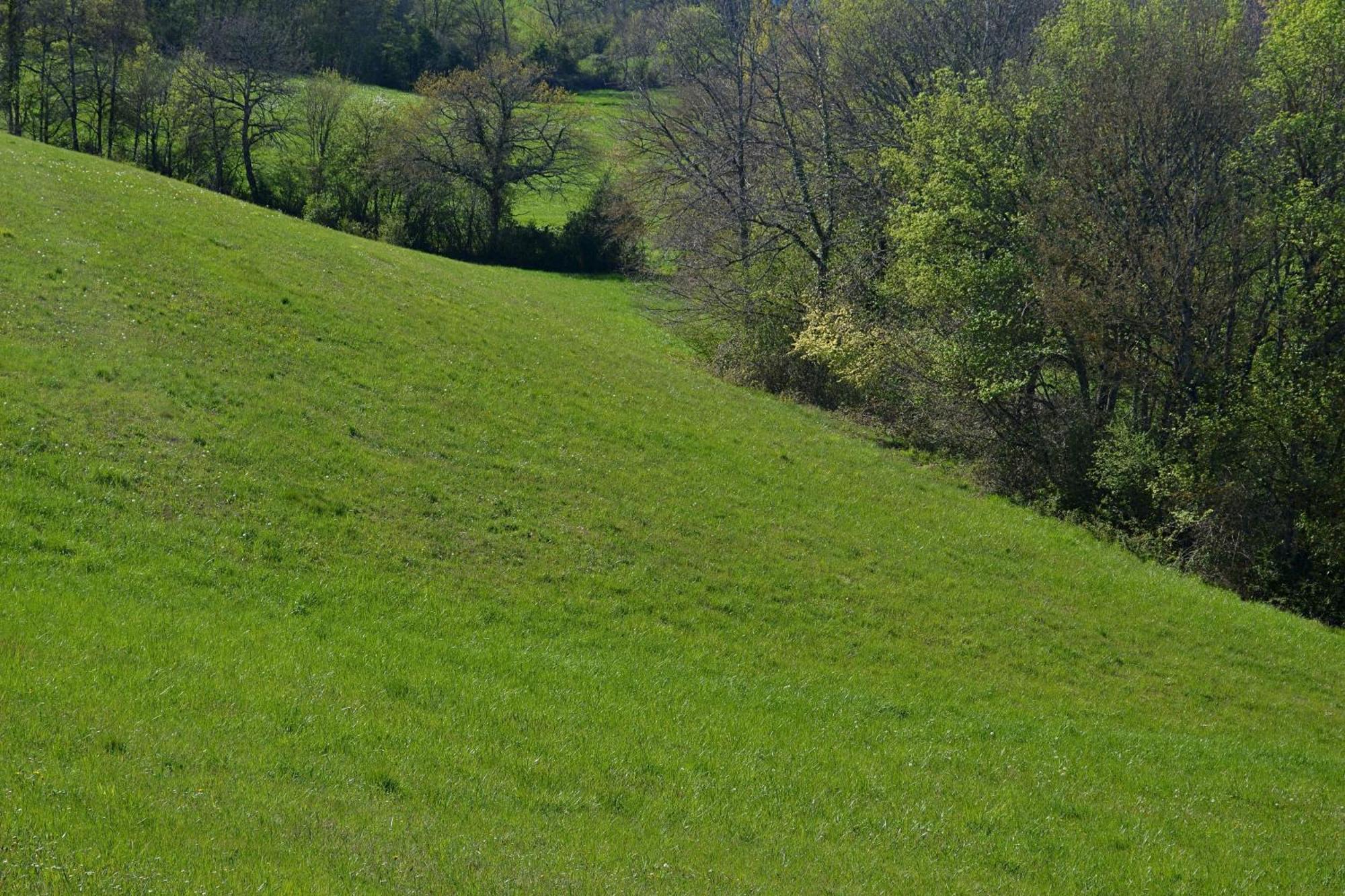 Chambre D'Hote Au Domaine Terre De Chenes Saint-Paul-de-Baise Kültér fotó