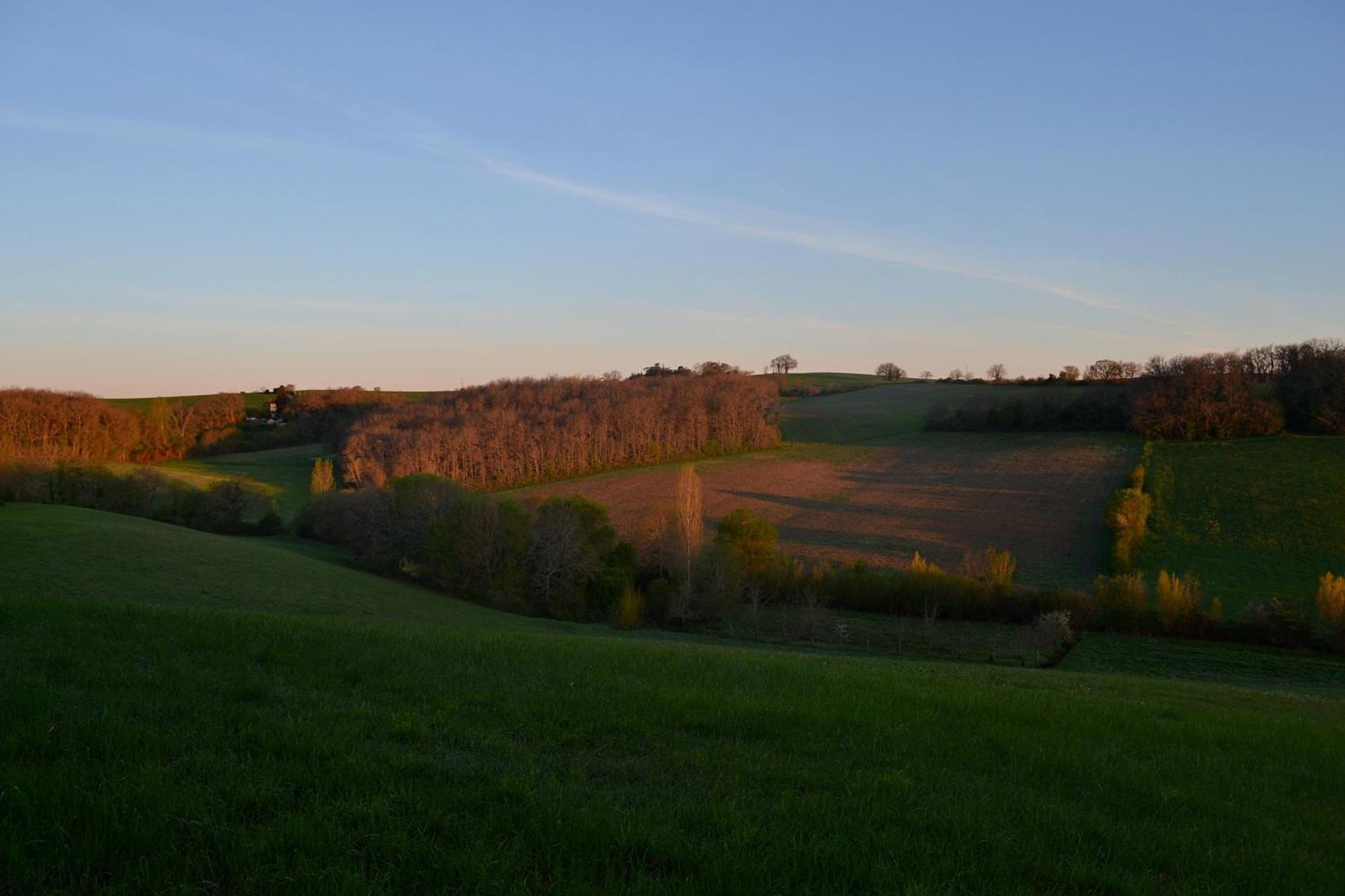 Chambre D'Hote Au Domaine Terre De Chenes Saint-Paul-de-Baise Kültér fotó